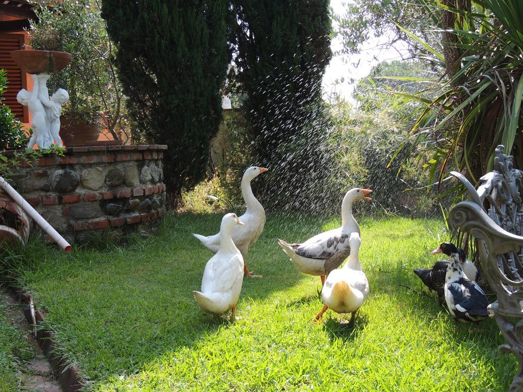 Il Cipresso Del Gallo Montecatini Terme Buitenkant foto